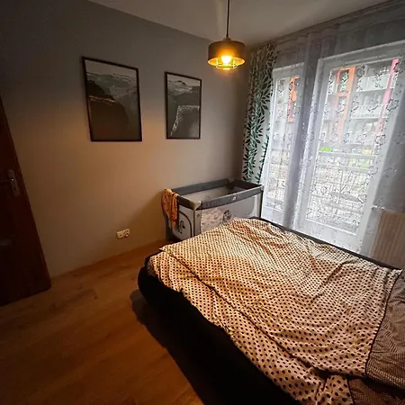 Szalwiowa * Вроцлав